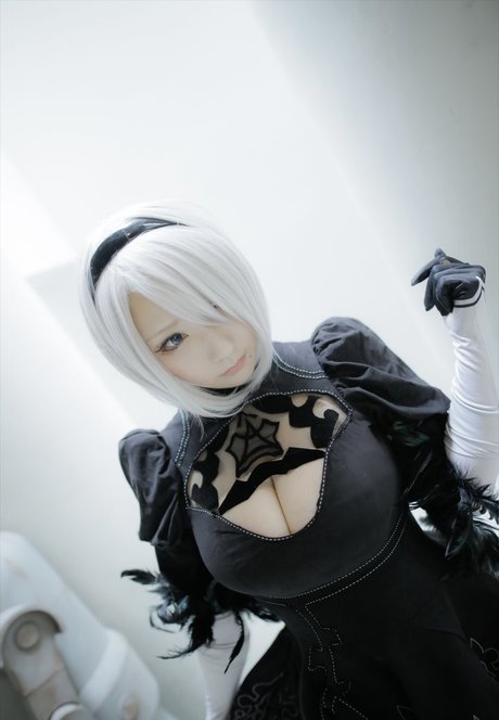 saku93 model free archive