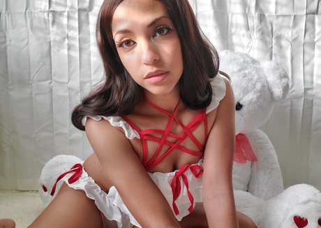 Domi Versailles top star photos