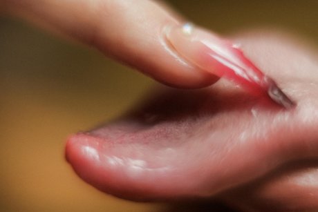 Lolawoo nudes pornstar image