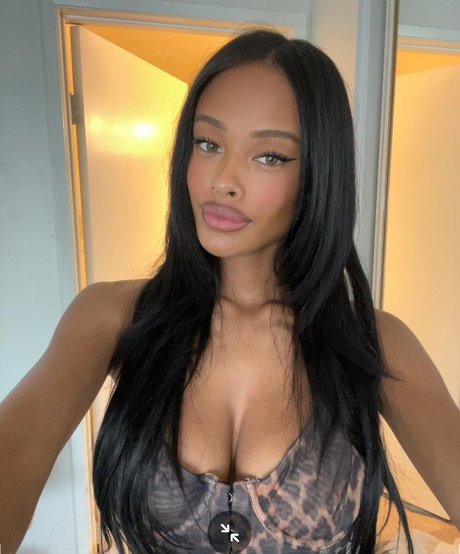 Vinetrria Vinetria nice star archive