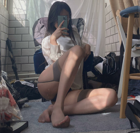 BrickZhuan star erotic archive