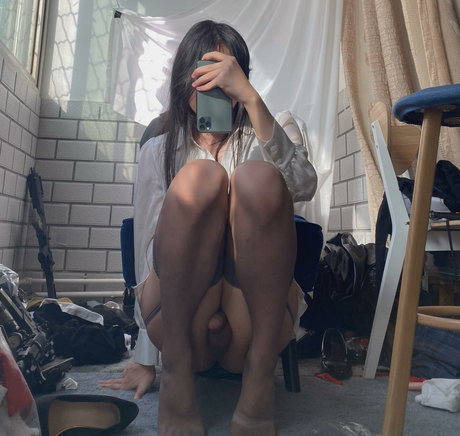 BrickZhuan art actress photo