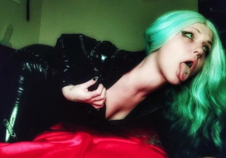 Void The Kitten exclusive star galleries