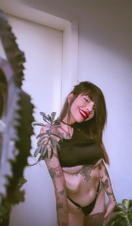 lellycristie star exclusive galleries