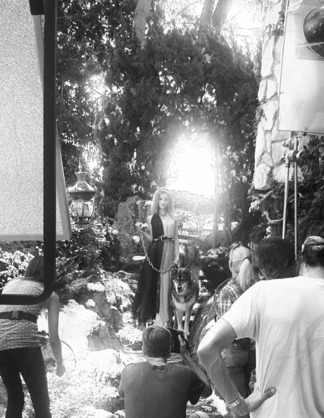 Roos Van Montfort star adult galleries