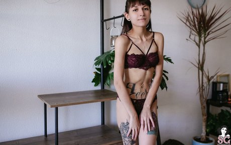 Wingsweak nude star gallery