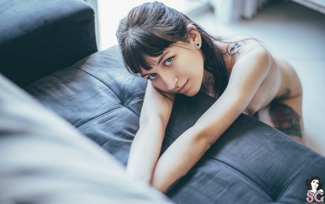 Wingsweak star hd pictures