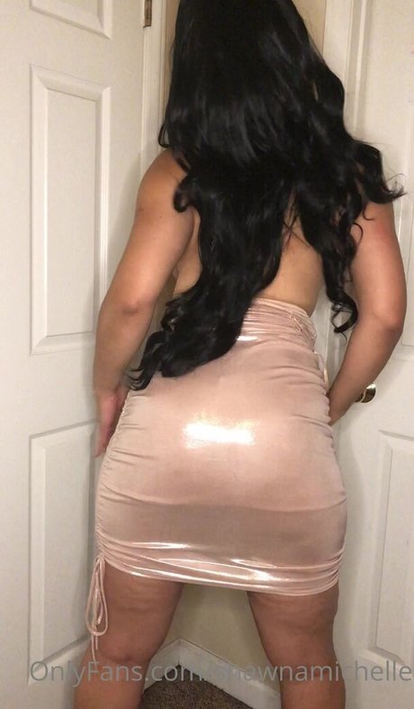 Shawnamichelle sexy pornstar gallery