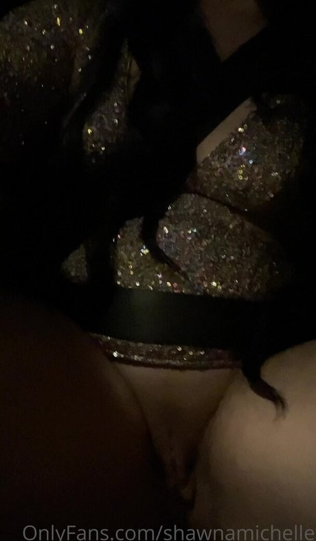 Shawnamichelle art star galleries