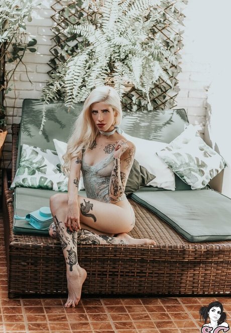 serenna top pornstar pic