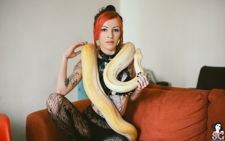 Juh Connie free pornstar archive