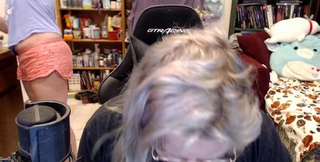 Avalon Zuercher model archive