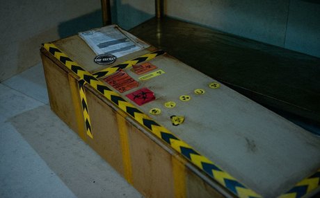 Shinkojima star erotic image