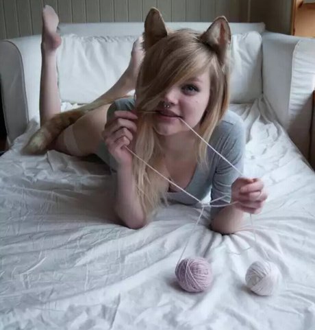 Geckuh star high quality gallery