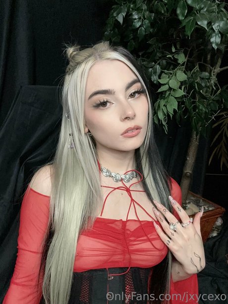 _Jxycexo pornstar exclusive image