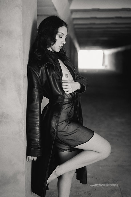 Elis model art image