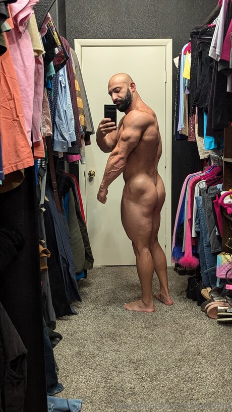 Michael Forte high quality star gallery