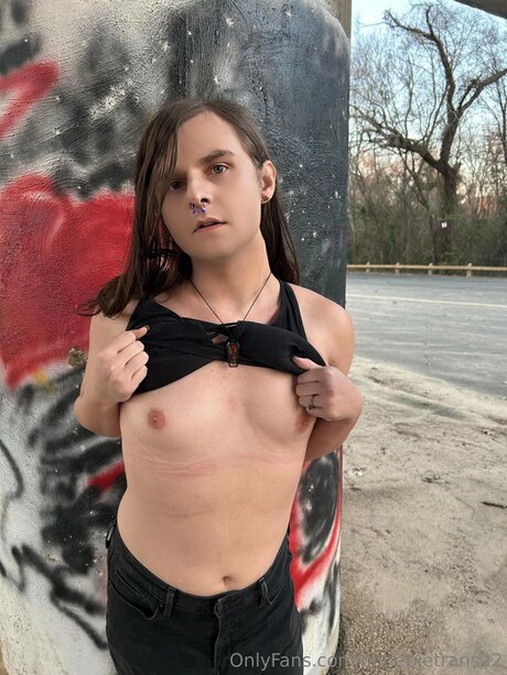 Cutiepietrans22 beautiful star galleries