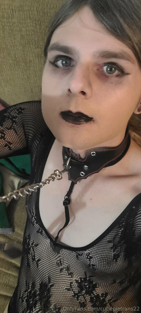 Cutiepietrans22 free pornstar photos
