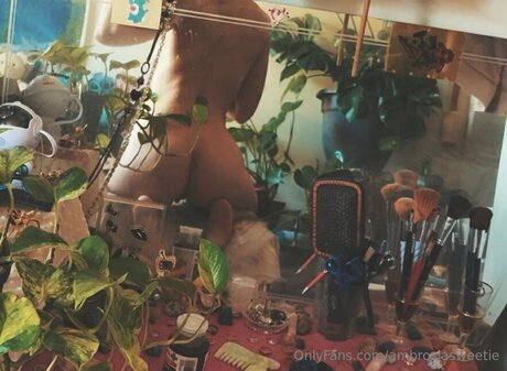 Ambrosiasweetie adult star photos