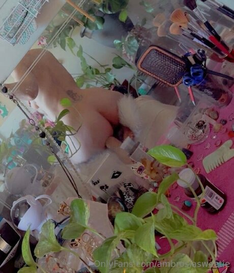 Ambrosiasweetie hd star image