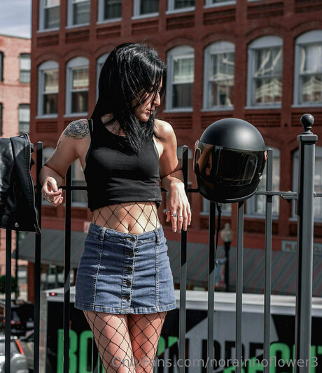 Norainnoflower3 star hd photo