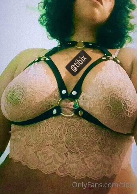 Tibix model adult image