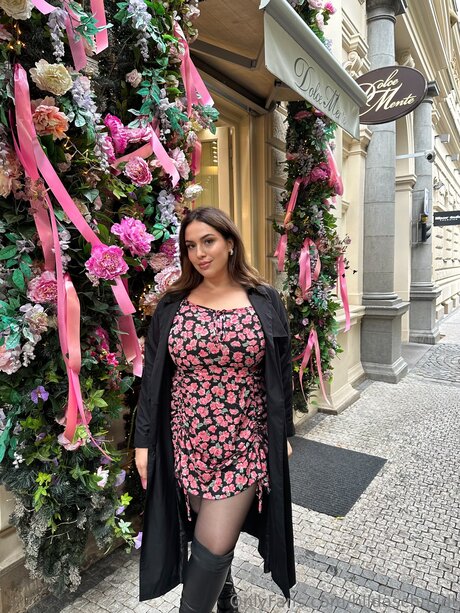 Hildaschmidt star hd photo