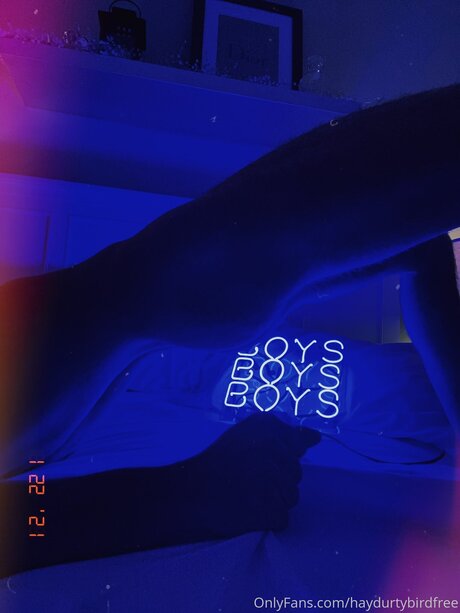 Haydurtybirdfree star xxx archive