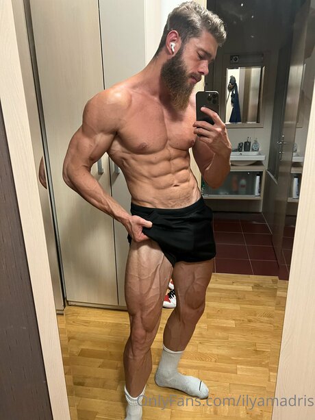 Ilyamadris profile pic