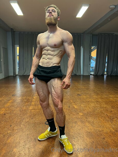 Ilyamadris thumbnail