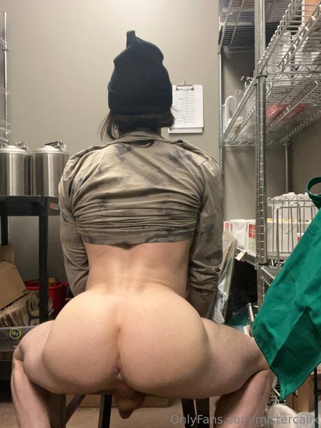 Mistercalix nude pornstar pics