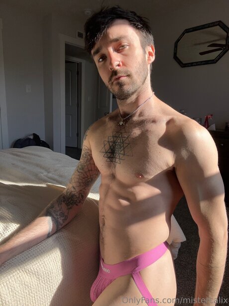 Mistercalix free pornstar img