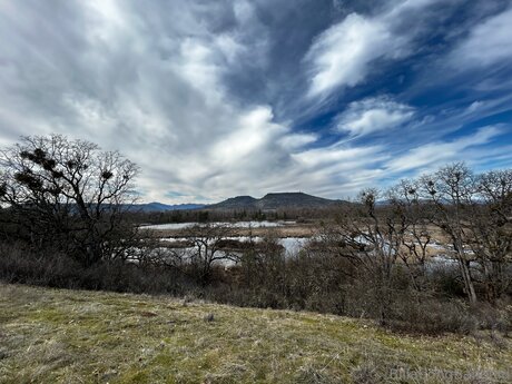 Billabongbandaid art pornstar images