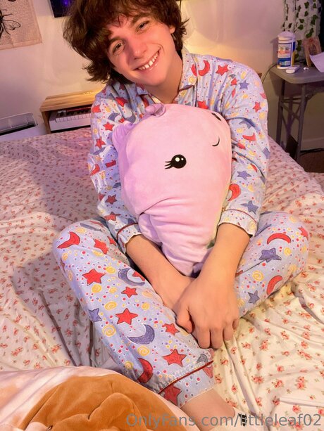 Cokia pretty star gallery