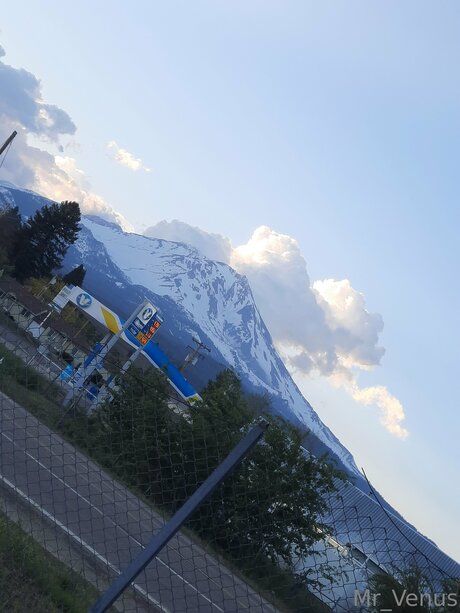 Mr Venus best actress gallery