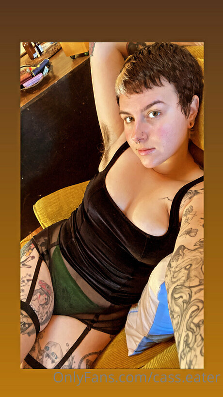 Cass Eater art pornstar galleries