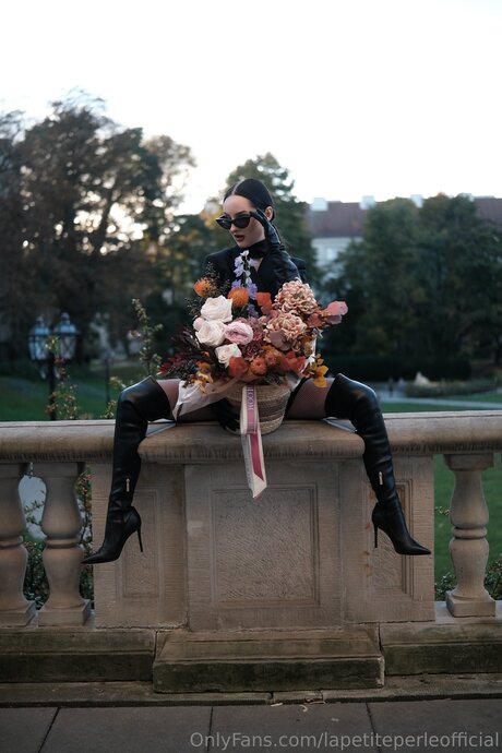 Lapetiteperleofficial beautiful star galleries