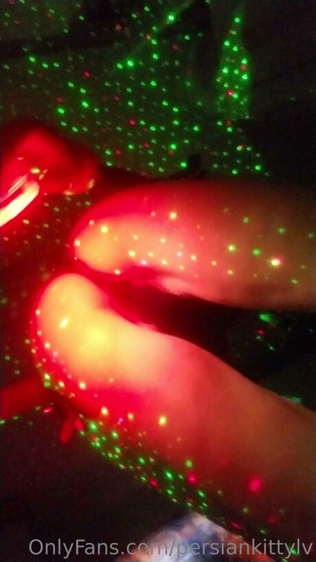 Persiankittylv star hd picture