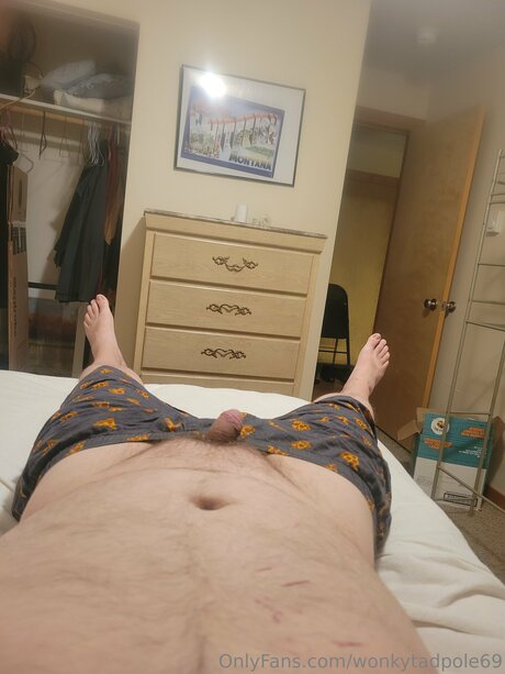 Wonkytadpole69 star nice photos