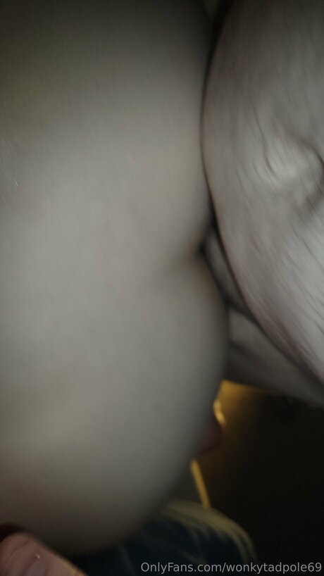 Wonkytadpole69 pornstar pretty archive