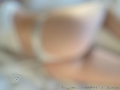 Nellysanvandatrosor sex actress picture