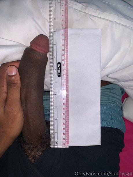 Sunnyszn pornstar beautiful img