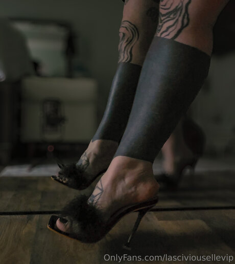 Lasciviousellevip perfect pornstar img