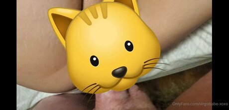 Virgobabe Xoxo pornstar top pictures