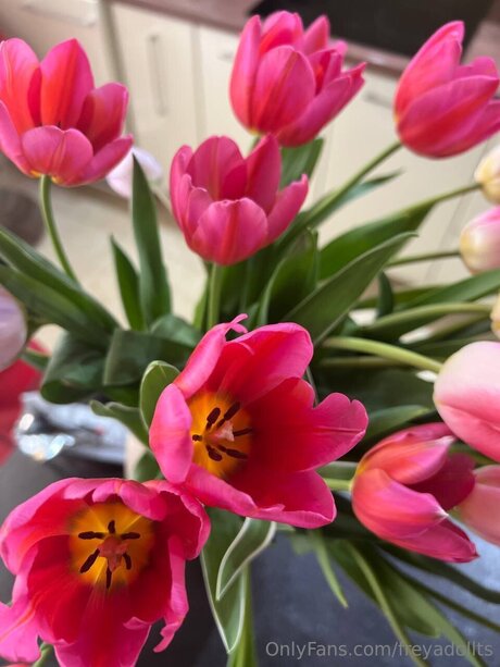 Freyadollts sexy star photos