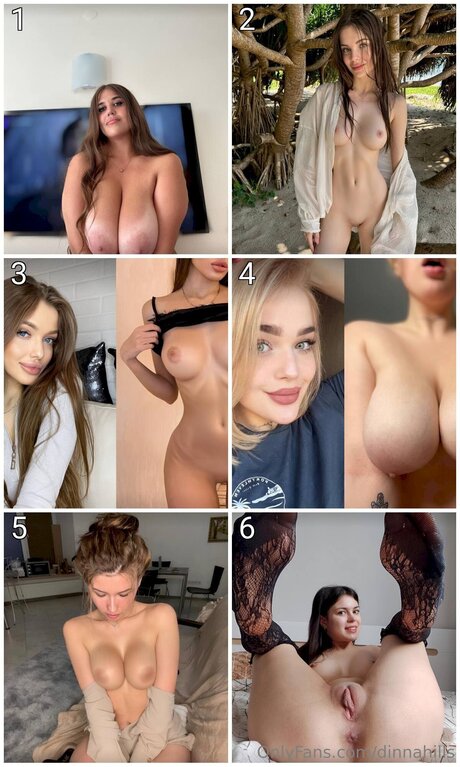 Dinnahills perfect pornstar image