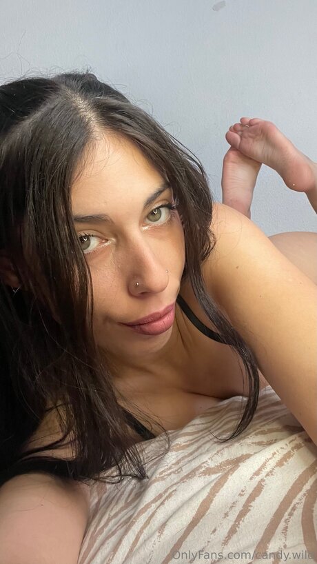 Candy Wild xxx actress pictures