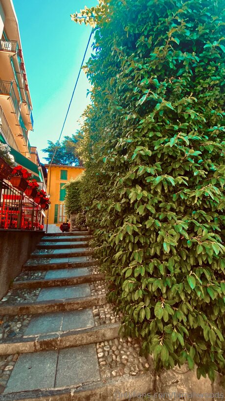 Farrahfahrenhite art star img