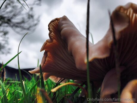 Farrahfahrenhite pretty pornstar pictures